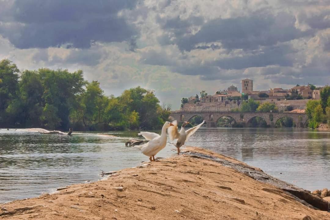 A Los Ojos Del Rio Duero Zamora Extérieur photo