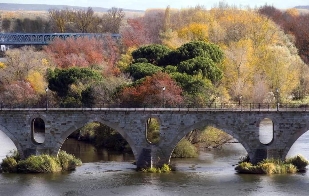 A Los Ojos Del Rio Duero Zamora Extérieur photo