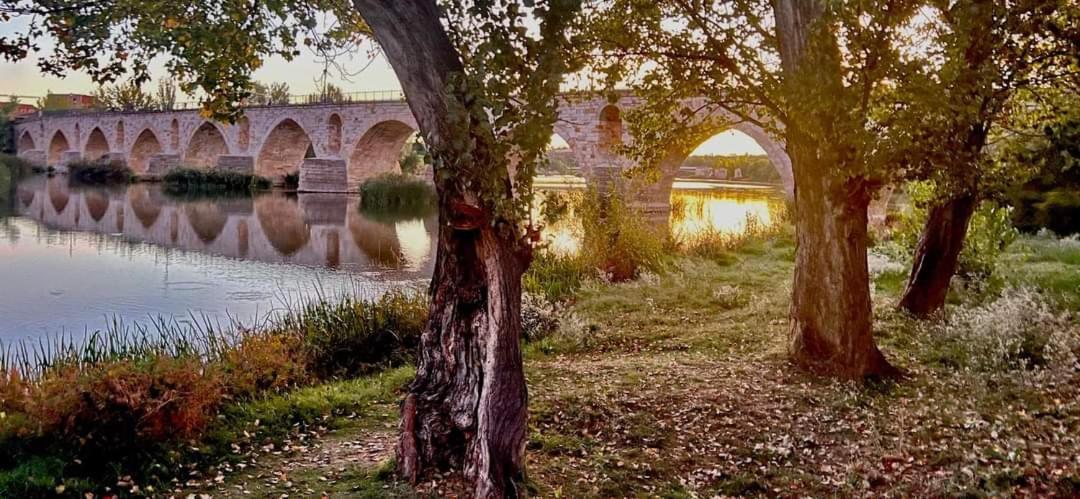 A Los Ojos Del Rio Duero Zamora Extérieur photo