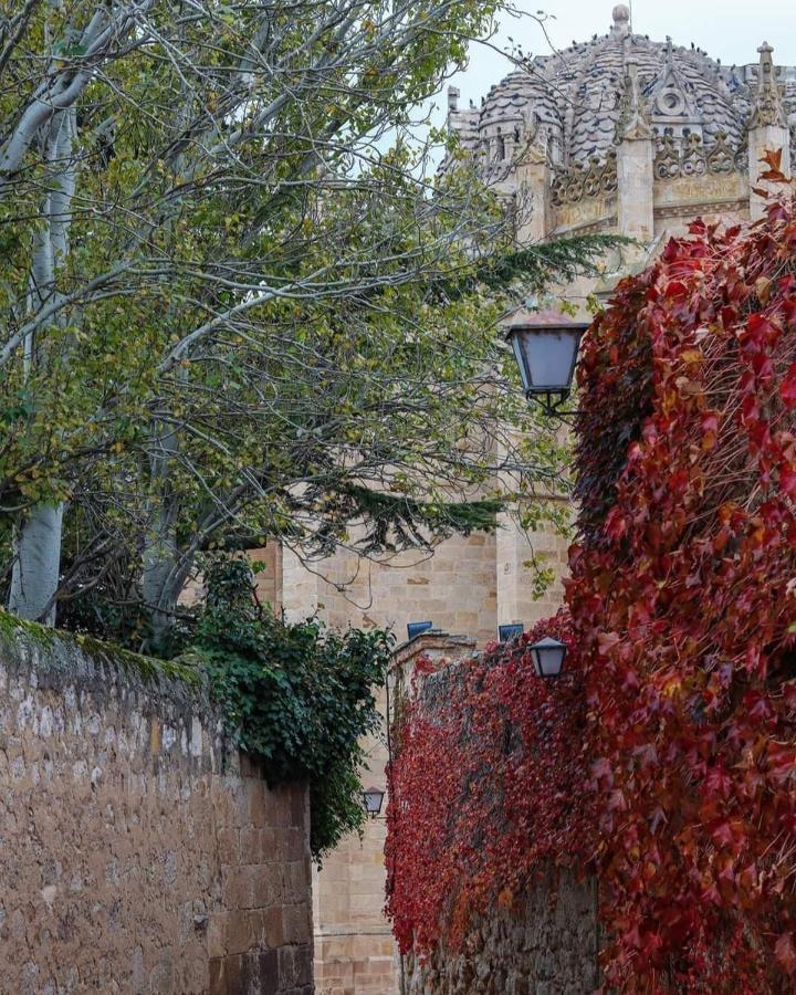 A Los Ojos Del Rio Duero Zamora Extérieur photo