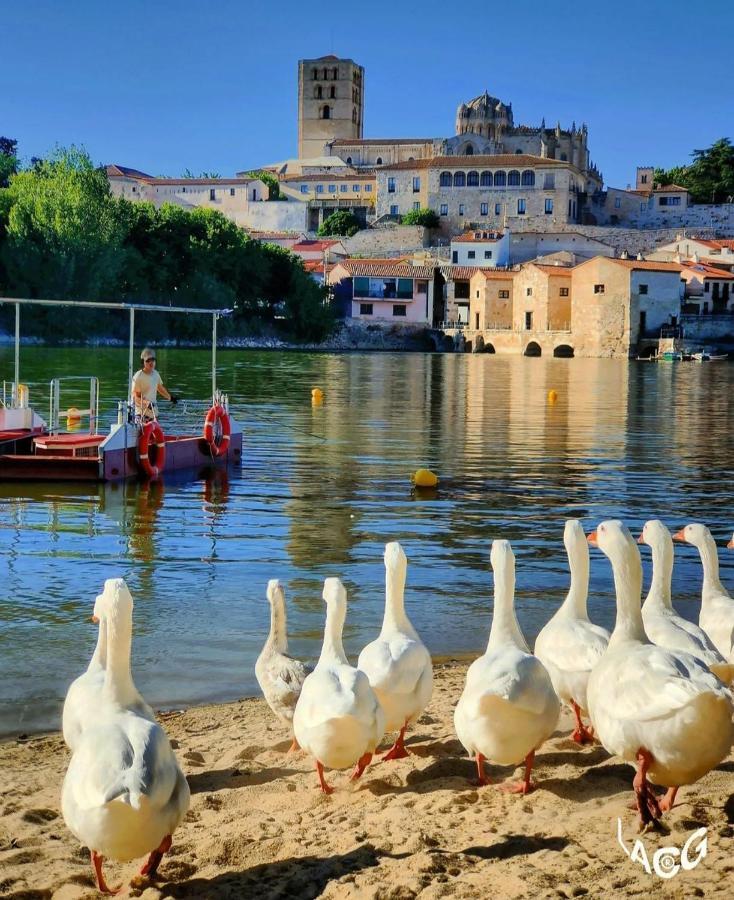 A Los Ojos Del Rio Duero Zamora Extérieur photo