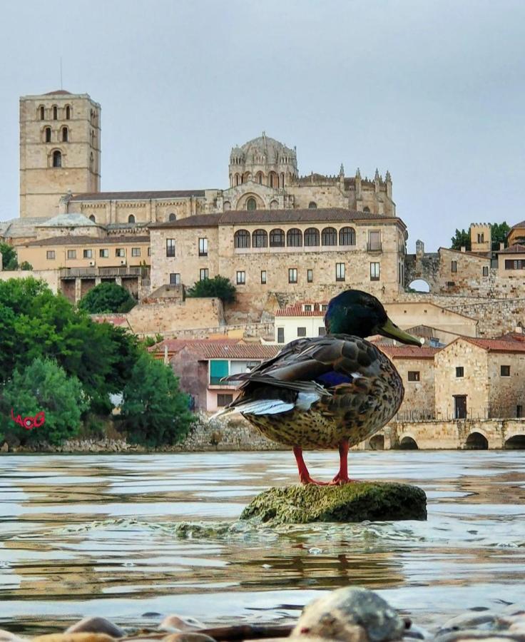 A Los Ojos Del Rio Duero Zamora Extérieur photo
