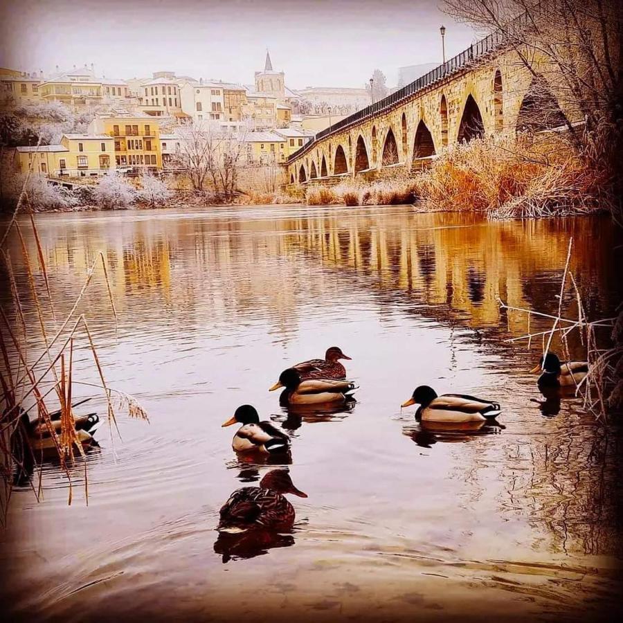A Los Ojos Del Rio Duero Zamora Extérieur photo